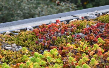 the cost of Larkbeare green roof installation