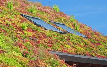 Larkbeare living roof systems